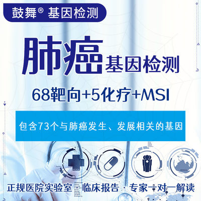 satın al Akciğer Kanseri 73 Akciğer Kanseri Tedavisi İçin Genetik Test online manufacture