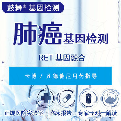 satın al RET Gen Füzyonu Balık Kanseri için Genetik Test 6 İş Günü Döngüsü online manufacture